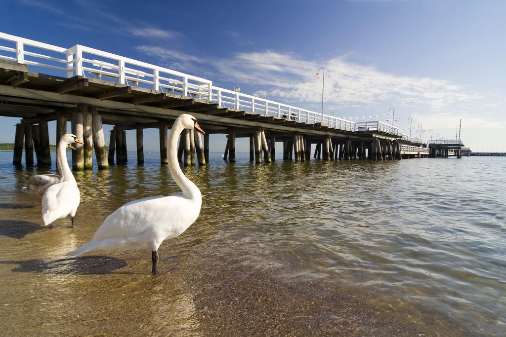 Apartament Nadmorski Gdansk Sopot Phòng bức ảnh